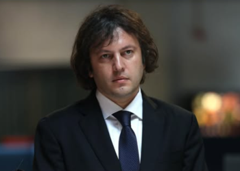 “კონკრეტულმა ძალებმა უკრაინა საზარბაზნე ხორცად გამოიყენეს” – ირაკლი კობახიძე