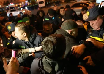 პოლიციამ თბილისის საკრებულოსთან მსვლელობის მონაწილე დააკავა