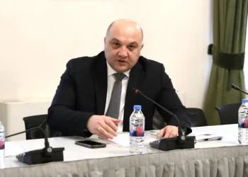 თუ წიწაკის სპრეი 16 წლის ზევით, 18 წლამდე ასაკის პირს ექნება, მის მიმართ გავრცელდება შესაბამისი რეგულაციები, ხოლო თუ 16 წლის ქვემოთ ბავშვის ხელში მოხვდება, მოვიძიებთ, ვინ გაყიდა და პასუხისმგებლობა მას დაეკისრება – ალექსანდრე დარახველიძე