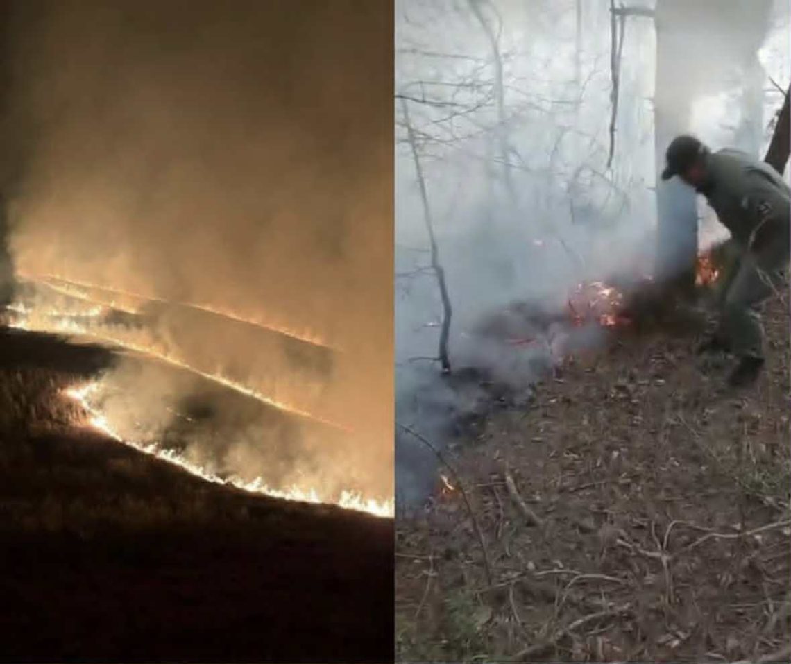 ხანძარი ჯავის რაიონში – რა ვითარებაა ადგილზე