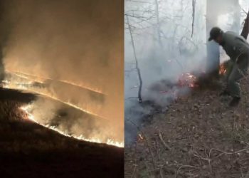 ხანძარი ჯავის რაიონში – რა ვითარებაა ადგილზე