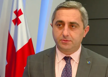 შემოსავლების სამსახურის უფროსის ყოფილ მოადგილეს პატიმრობა დაუსწრებლად შეეფარდა