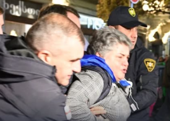 პოლიციამ მსვლელობის კიდევ 2 მონაწილე დააკავა – დღევანდელ აქციაზე სულ 3 პირია დაკავებული