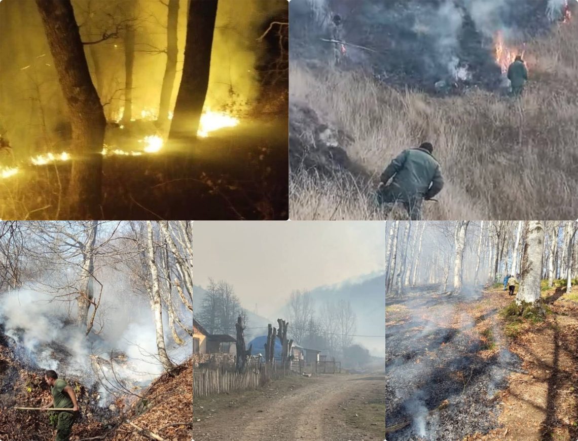 ხანძარი ოკუპირებული ჯავის რაიონში – რა ვითარებაა ადგილზე ?