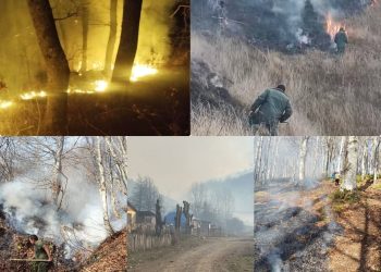 ხანძარი ოკუპირებული ჯავის რაიონში – რა ვითარებაა ადგილზე ?