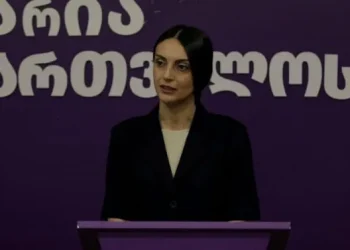 “ჩვენ არ ვიქნებით არსად, სადაც იქნება “ნაცმოძრაობა” –  ვიკა ფილფანი 28 ნოემბერს დაგეგმილ აქციაზე