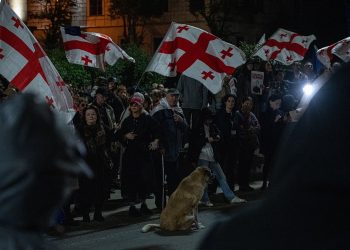 ბოლო 5 დღეში შსს-მ რუსთაველის გამზირის გადაკეტვისთვის აქციის 29 მონაწილე დააკავა