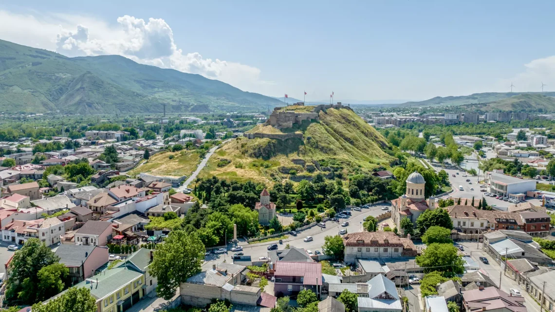 გორში მიუსაფარ ცხოველებში ჭირი გავრცელდა