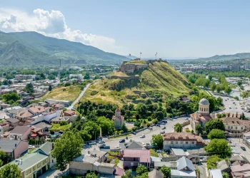 გორში მიუსაფარ ცხოველებში ჭირი გავრცელდა