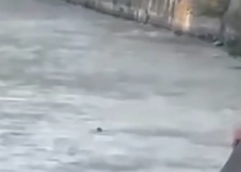 “დაინახა, რომ მტკვარში ბიჭი იხრჩობოდა და წყალში გადაეშვა”- რა ვიდეო ვრცელდება სოციალურ ქსელში