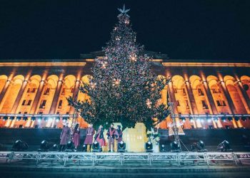 თბილისის ნაძვის ხე პარლამენტის წინ აღარ დაიდგმება