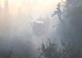 ბაღდათის ტყეში მეოთხე დღეა ხანძარს ებრძვიან – რა ხდება ადგილზე