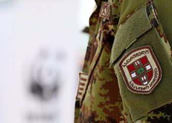 სატვირთოში დაიმალა და საქართველოს საზღვარი გადმოკვეთა – შსს-მ თურქეთის 2 მოქალაქე დააკავა