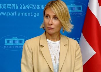 ” მე არ ვიქნებოდი ისეთი სასოწარკვეთილი და იმედგაცრუებული, როგორიც გერმანიის ელჩია ” – ნინო წილოსანი