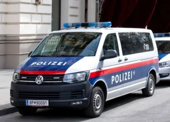 ავსტრიაში მიგრანტების არალეგალად გადაყვანის ფაქტზე საქართველოს მოქალაქე დააკავეს