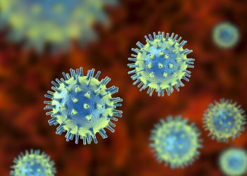„ცხელება ამ ვირუსზე ვერ მოქმედებს…“ – მეცნიერები ახალ „პანდემიურ საფრთხეზე“ საუბრობენ