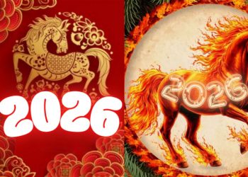 როგორი სუფრა დავახვედროთ ცხენს ახალ წელს – თიკა ქოქაშვილის რეკომენდაცია