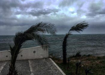 ბათუმში ძლიერმა ქარმა პრობლემები შექმნა- რა ვითარება ადგილზე?