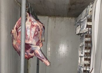 “თბილისში, ზესტაფონსა და ვანში აღმოჩენილია არალეგალური სასაკლაოები” – სეს