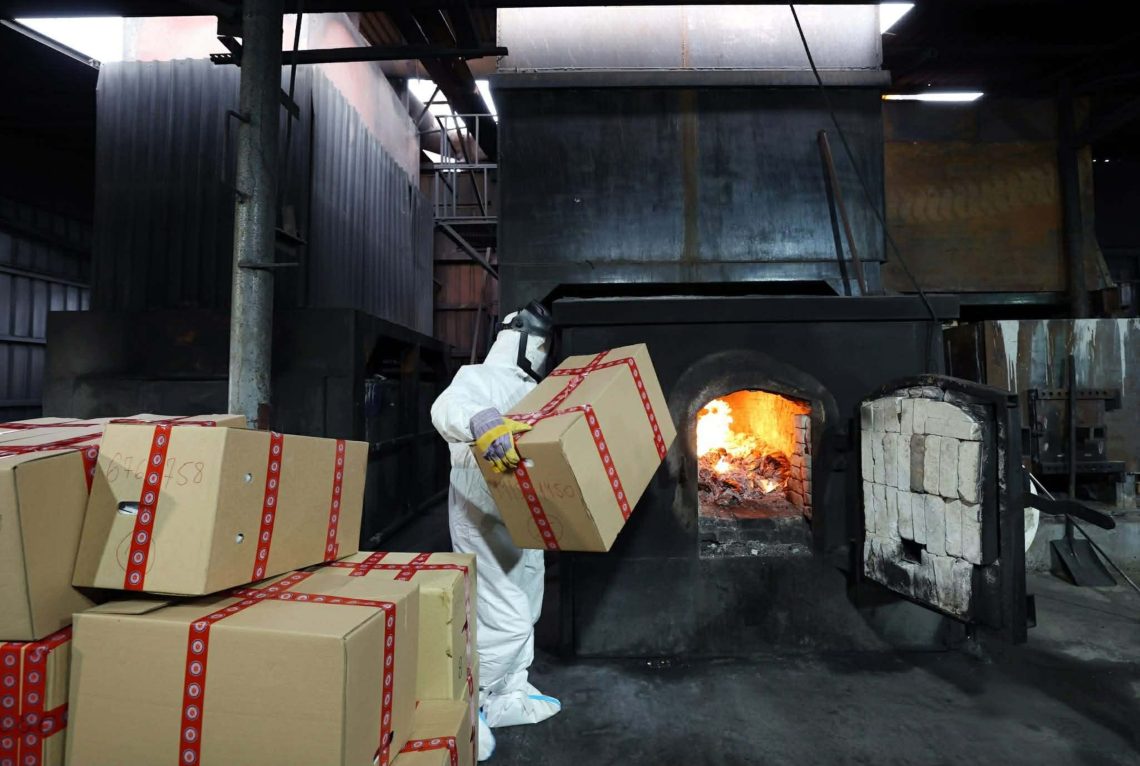 “926 კილოგრამი ნარკოტიკული საშუალებები გაანადგურა, რომელთა ღირებულება ე.წ. შავ ბაზარზე 19 მილიონ ლარს აღემატება” – შსს