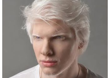 ბერა ივანიშვილი საქართველოს და რუსეთის ორმაგი მოქალაქეა