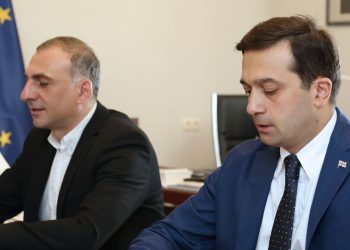 ოსელიანმა ელისაშვილის მოსანახულებლად თანამშრომლები გააგზავნა