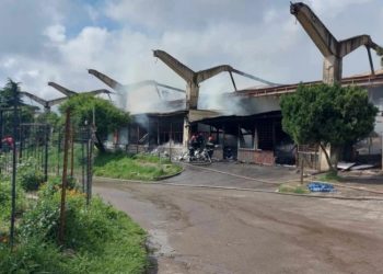 ხანძრის შედეგად განადგურებული ბორჯომის ბაზრობის ნაცვლად თანამედროვე სავაჭრო სივრცის აშენება იგეგმება