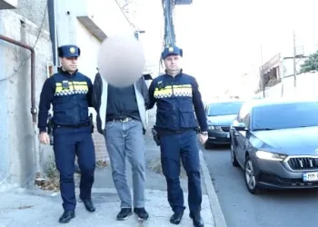 ამოღებულია ცეცხლსასროლი იარაღები, საბრძოლო ვაზნები, მჭიდები – დაკავებულია 1 პირი