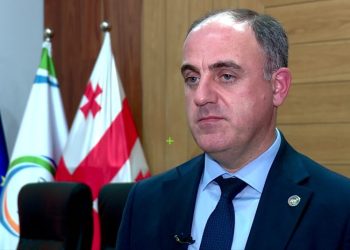 “ელექტროენერგიის ტარიფების ზრდა როგორც მოსახლეობას, ისე ბიზნესსაც შეეხება” – დავით ნარმანია