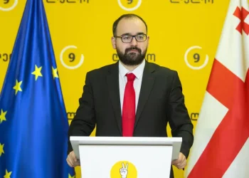 ” ისტერიულ კამპანიას, რომელსაც კობახიძე და პაპუაშვილი ედგნენ სათავეში, „ალდემ“ გასცა 3 – ხაზიანი ძალიან მკაფიო პასუხი, რომლითაც საკუთარი ადგილი მიუჩინა პრორუსულ რეჟიმს” – გრიგოლ გეგელია