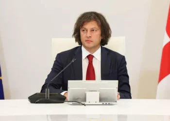 ირაკლი კობახიძემ რაჭაში 3,7 მილიონ კვადრატულ მეტრს ტყის სტატუსი შეუწყვიტა