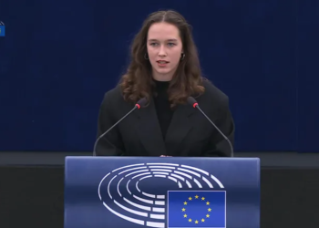 “რასაც საქართველოში ვხედავთ კლასიკური რუსული სახელმძღვანელოა” – ევროპარლამენტარი ლენა შილინგი