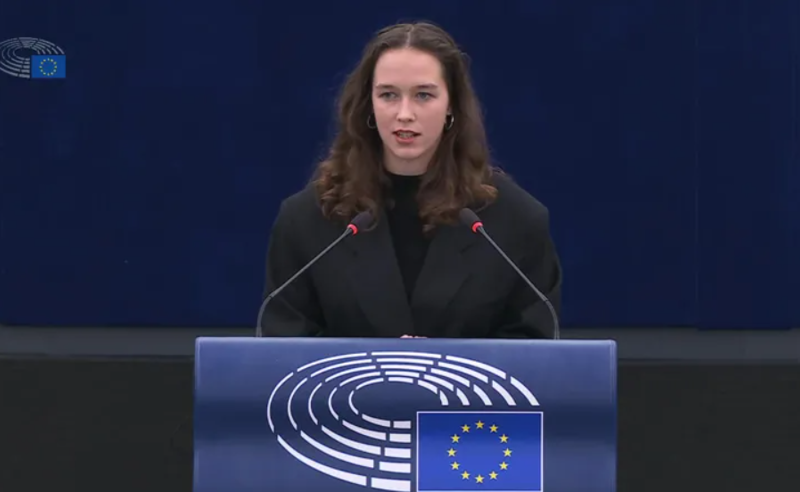 “რასაც საქართველოში ვხედავთ კლასიკური რუსული სახელმძღვანელოა” – ევროპარლამენტარი ლენა შილინგი