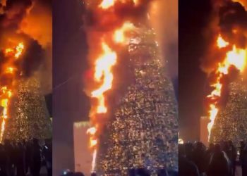 გარდაბანში საახალწლო ნაძვის ხეს ცეცხლი გაუჩნდა