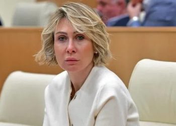 “ევროკავშირს გაცილებით მეტი საზრუნავი უნდა ჰქონდეს, ვიდრე წარმატებული საქართველოს კრიტიკა და ლანძღვაა”- ნინო წილოსანი