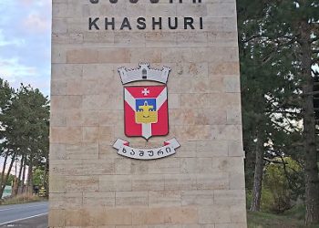 ‘ხალხის ძალა” ხაშურის მერიას სთხოვს, რომ ოჯახში დაბადებულ ყოველ მესამე ბავშვზე მშობლებს 300 ლარი გადასცეს