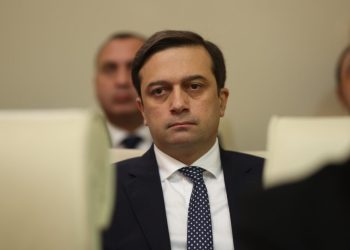 სახალხო დამცველმა ალეკო ელისაშვილი მოინახულა