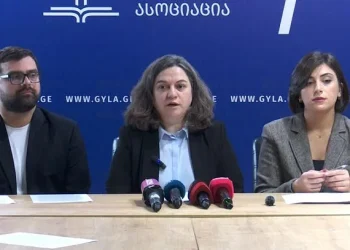 “2025 წელი შეზღუდული თავისუფლების წელია” – საია