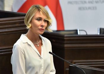 ნინო წილოსანი გრიგოლ ლილუაშვილს ურჩევს, ირაკლი ღარიბაშვილის მსგავსად ბრალი აღიაროს