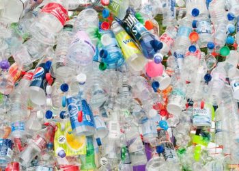 მნიშვნელოვანი ინფორმაცია – რა აკრძალვა ამოქმედდება 1-ელი აპრილიდან