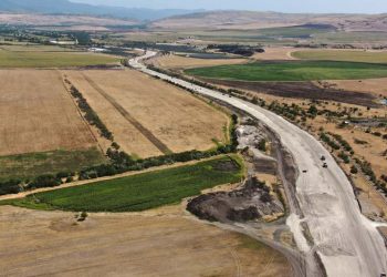 საგარეჯოში საავტომობილო გზის მშენებლობის გამო მოქალაქეს ქონებას იძულებით ჩამოართმევენ