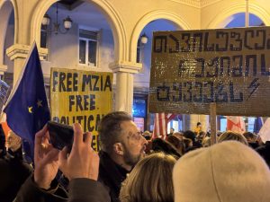 მზია ამაღლობელის გათავისუფლების მოთხოვნით მარში იმართება - "მეტრონომის" ფოტოკოლაჟი