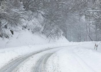 საავტომობილო გზების დეპარტამენტი განცხადებას ავრცელებს