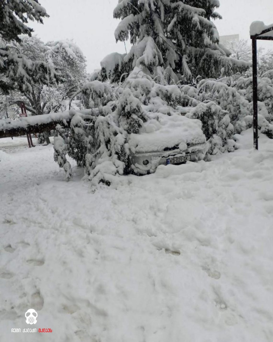 ვაზისუბანში ხე წაიქცა და მანქანას დაეცა – რავითარებაა ადგილზე?