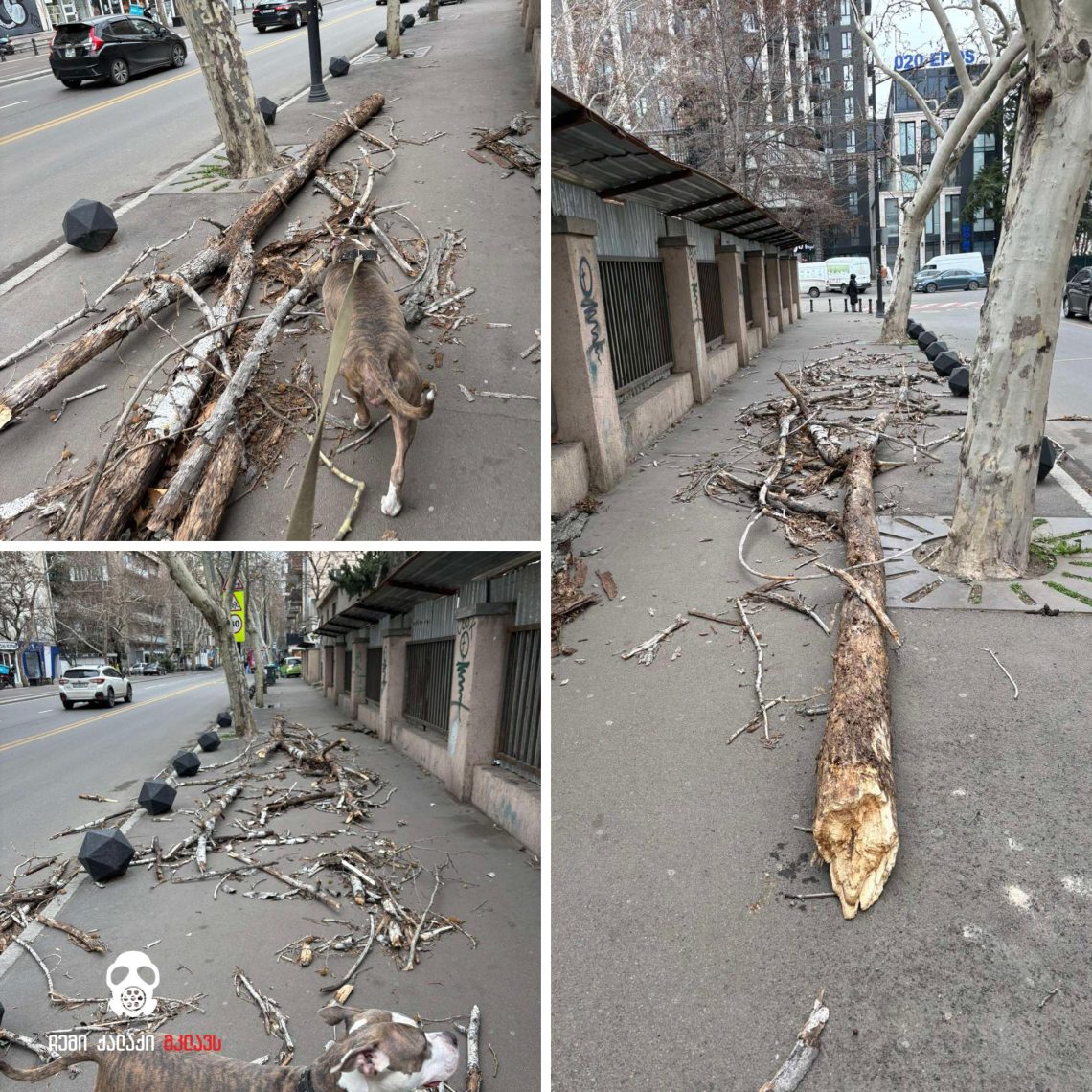 ძლიერმა ქარმა თბილისში პრობლემები შექმნა – რა კადრები ვრცელდება