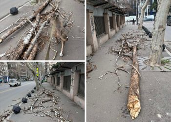 ძლიერმა ქარმა თბილისში პრობლემები შექმნა – რა კადრები ვრცელდება