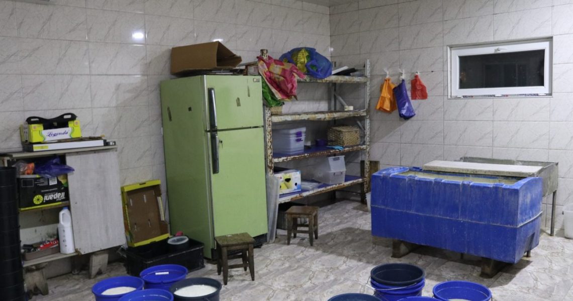 სურსათის ეროვნულმა სააგენტომ იმერეთში ყველის არალეგალური საწარმოები გამოავლინა