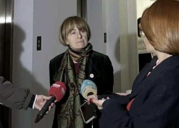 “სამხრეთ აფრიკაშიც ნებისმიერი უნივერსიტეტის რეორგანიზაცია, მით უმეტეს გაერთიანება, წყდება მართველ საბოჭოებთან ერთად” – ილიას სახელმწიფო უნივერსიტეტის პროფესორი