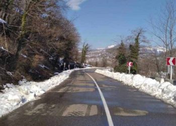 დავით გარეჯის მონასტრის მონაკვეთზე ავტოტრანსპორტის მოძრაობა აღდგა