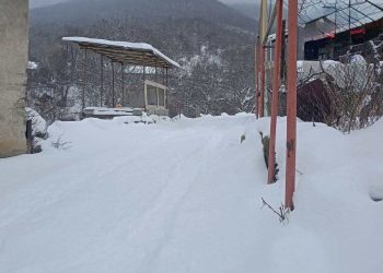 კასპის მუნიციპალიტეტის სოფელ გუდალეთში მცხოვრები მოსახლეობა დახმარებას ითხოვს